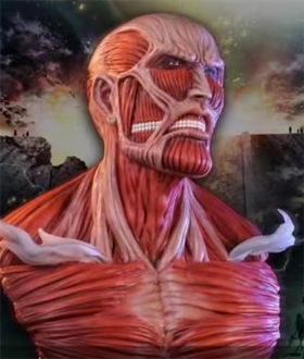 Bertholdt Titan Bust - Attack On Titan 1.5/1