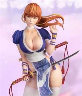 Death Or Alive Kasumi 1/4