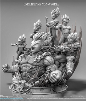 Vegeta One Lifetime - Dragon Ball