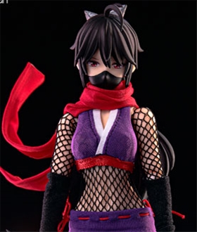 pocket art Series PA002 Female Ninja Hagi 1/12