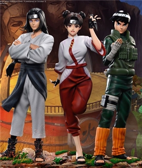 Neji Tenten Lee - Naruto