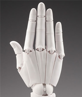 ARTIST SUPPORT ITEM Takahiro Kagami Hand Model /R -WHITE
