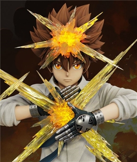 Sawada Tsunayoshi - Reborn