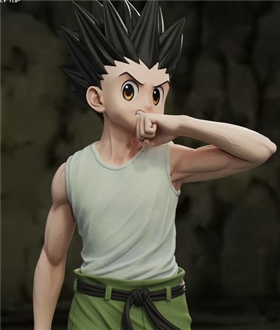 Gon Freecss - Hunter x Hunter