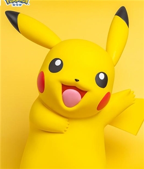 Pikachu Home Collection: Pokemon