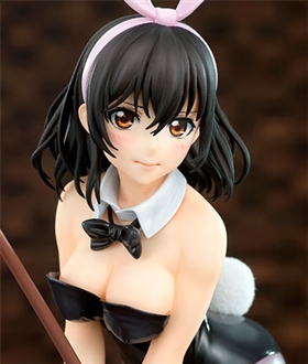 Strike the Blood Yukina Himeragi Bunny Girl Style 1/7