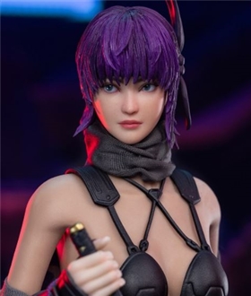 Female Ninja Ayane 1/6