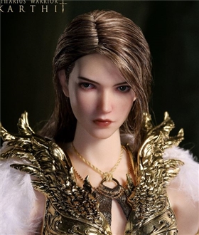 Olympus-The Star Chart Series Sagittarius Warrior Ikarthi 1/6