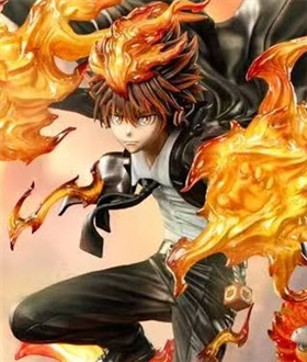 Tsunayoshi Sawada - Reborn